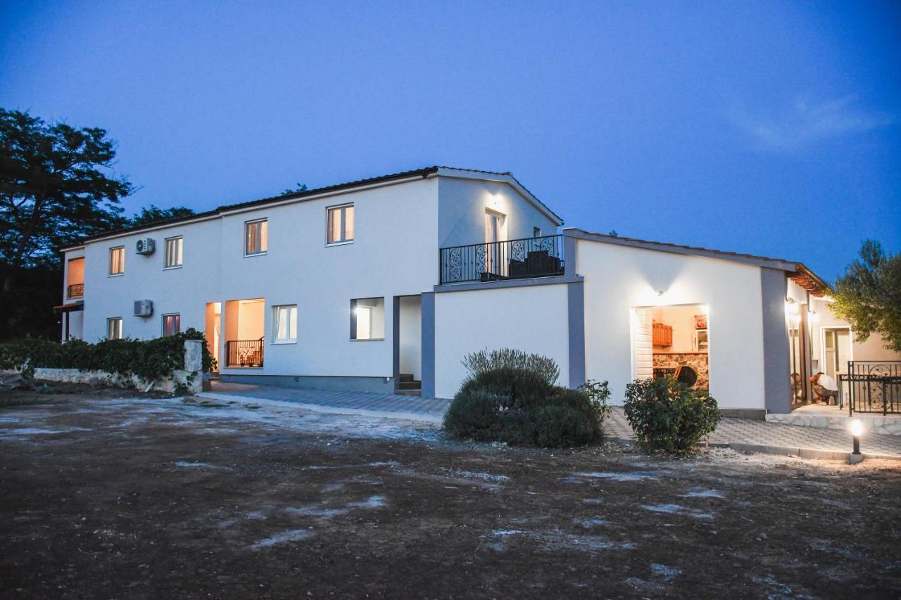 Olea * Biograd Na Moru